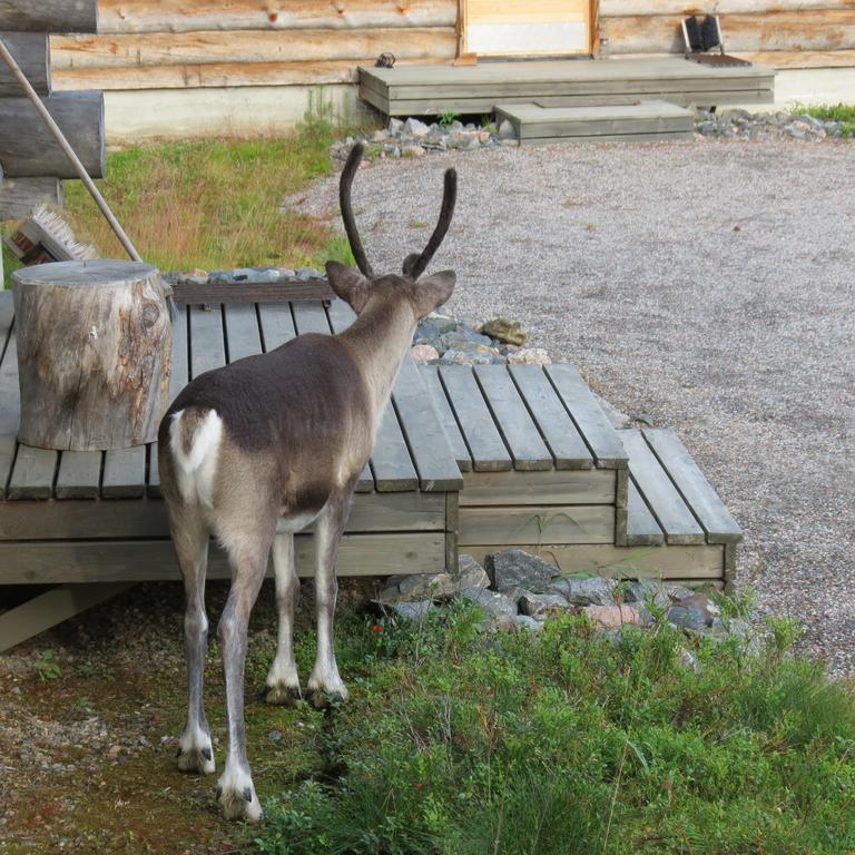 Dasher Apartment Äkäslompolo Exteriör bild